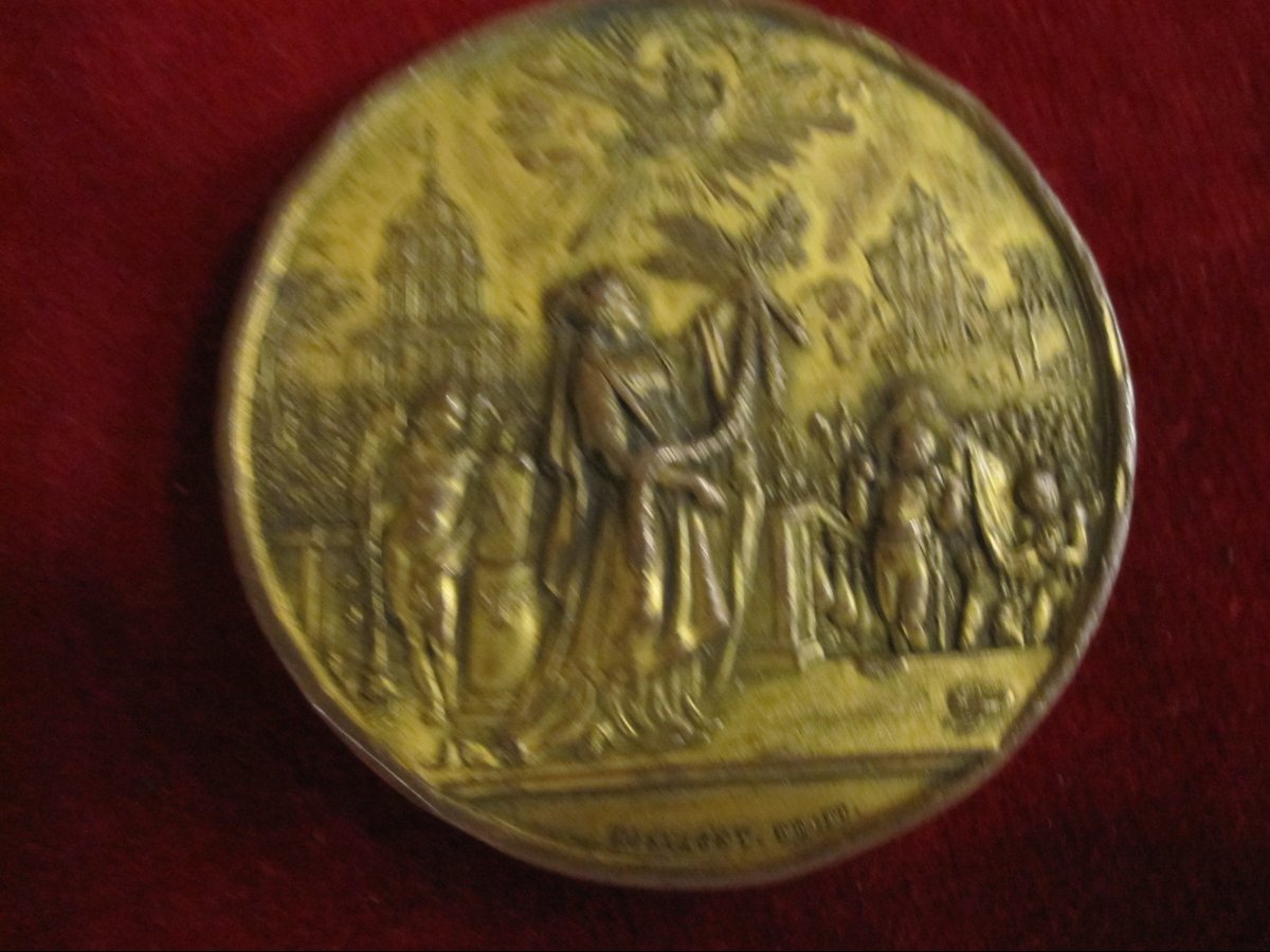 Commemorative Medal In Gilded Copper Depicting The History Of France. Bust Of Napoleon. 183-photo-5