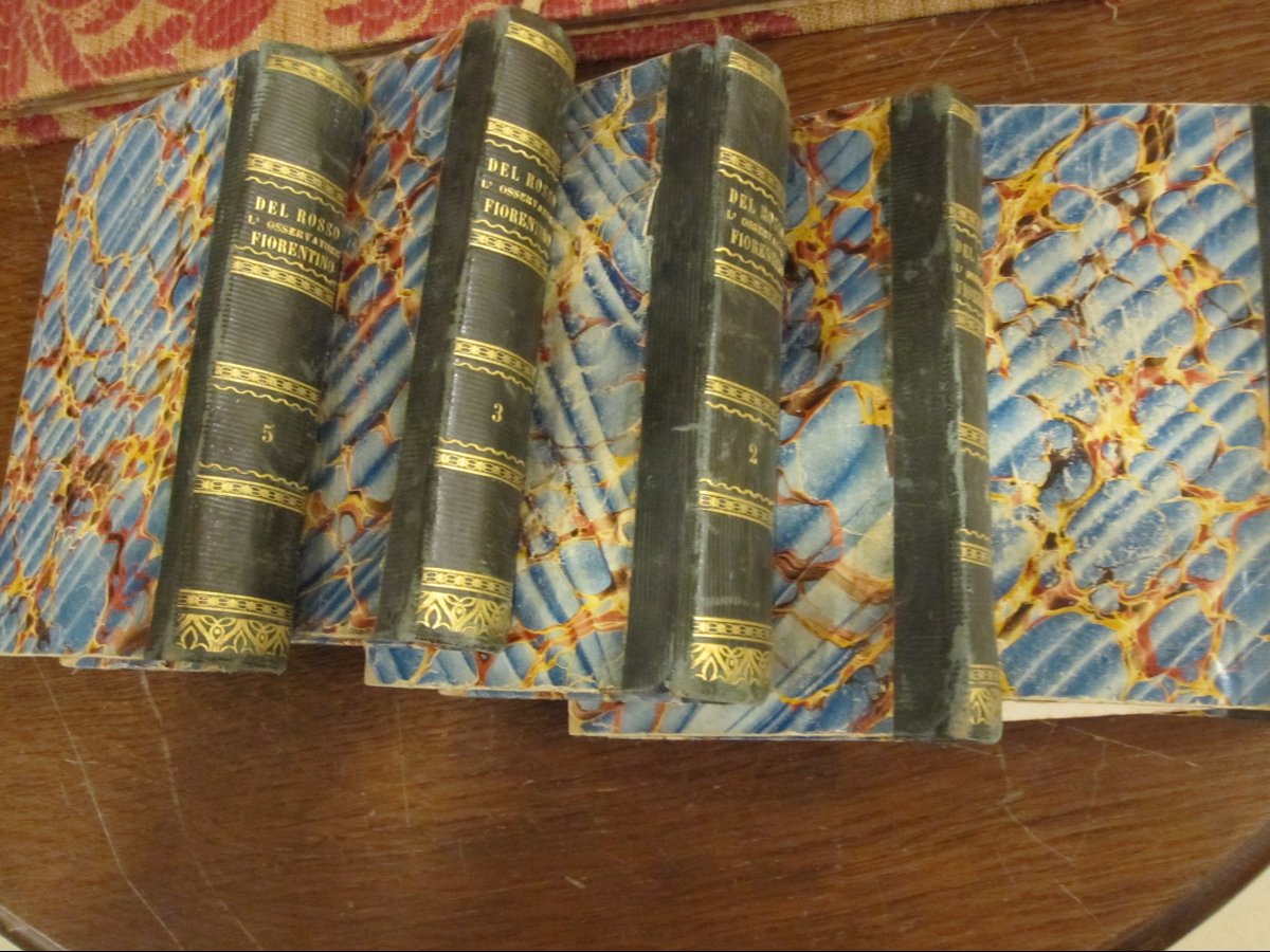 l'Osservatore Fiorentino. By Giuseppe Del Bosso. Florence, 1831. 16 Volumes With Plates.-photo-4