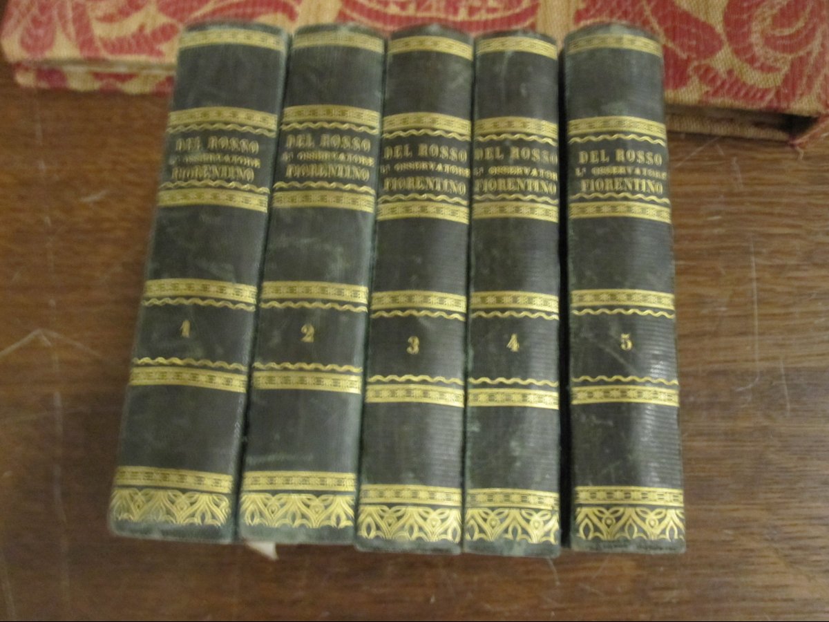 l'Osservatore Fiorentino. By Giuseppe Del Bosso. Florence, 1831. 16 Volumes With Plates.-photo-6