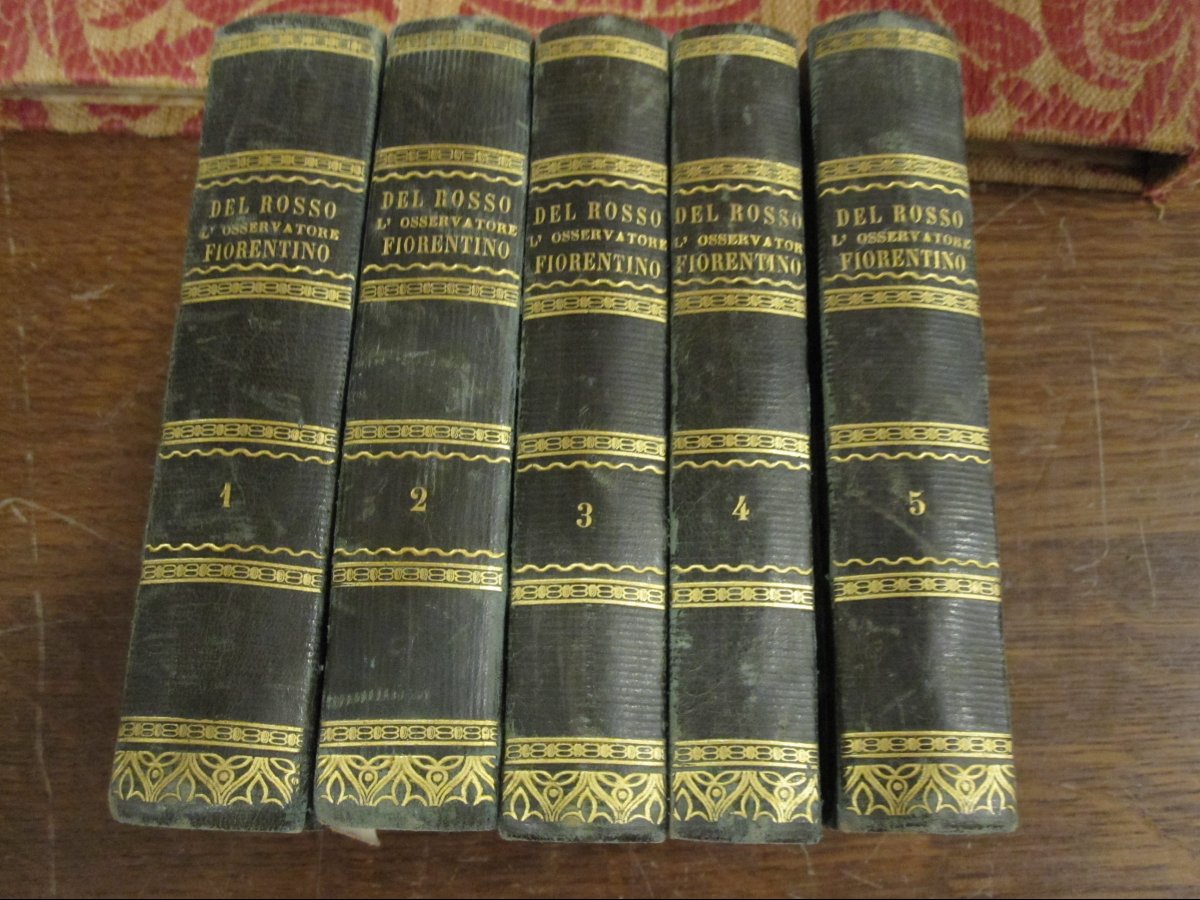 l'Osservatore Fiorentino. By Giuseppe Del Bosso. Florence, 1831. 16 Volumes With Plates.-photo-7