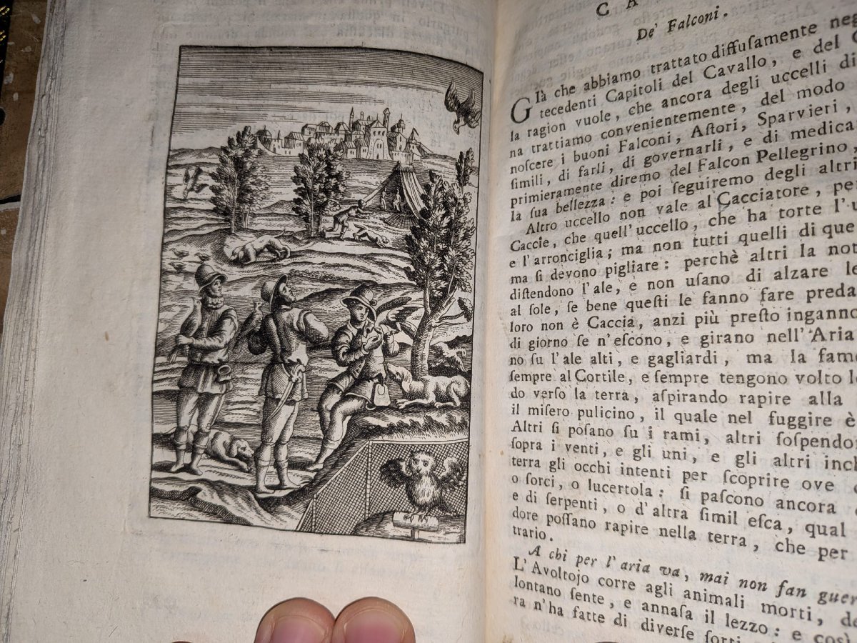 Traité de chasse italien du XVIIIe siècle. Magnifique reliure. Belles gravures sur cuivre.-photo-5