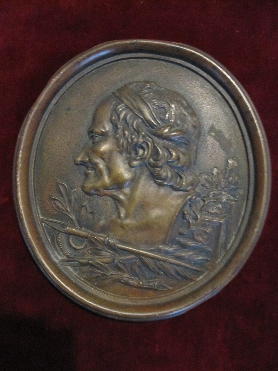 Voltaire. Large Bronze Plate 18.5 X 17 Cm