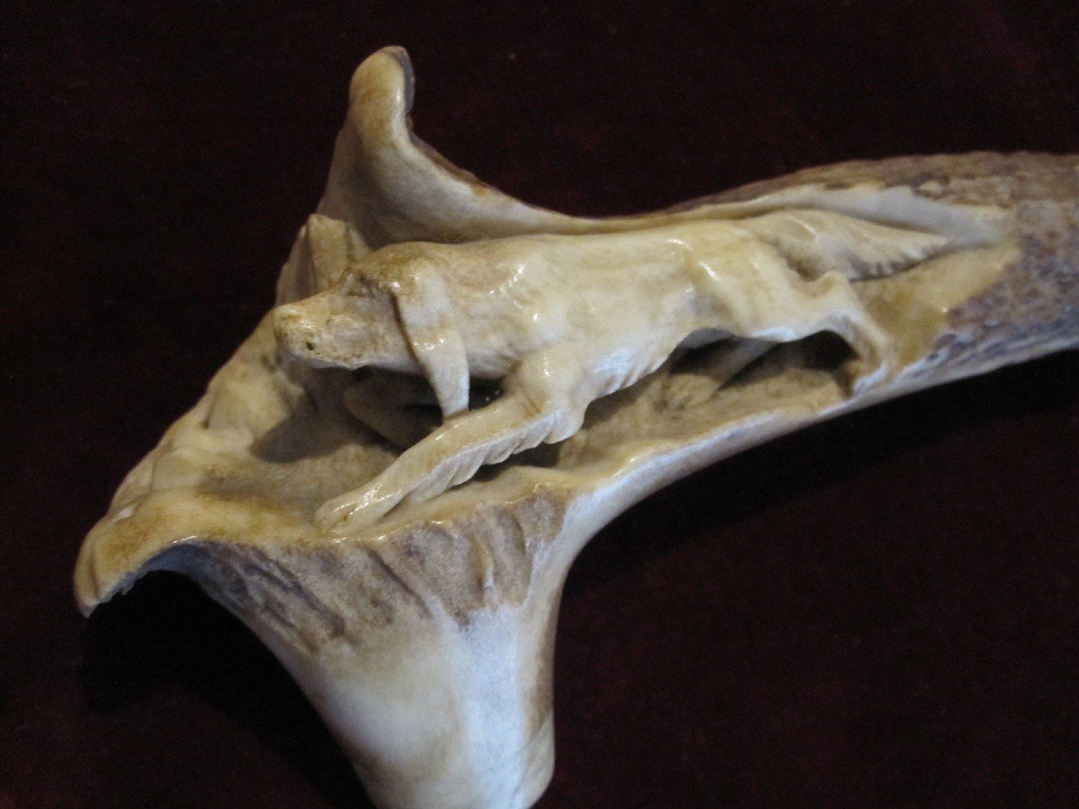 Beautifully Carved Stag Antler Cane Handle. With A Stalking Dog Scene-photo-2