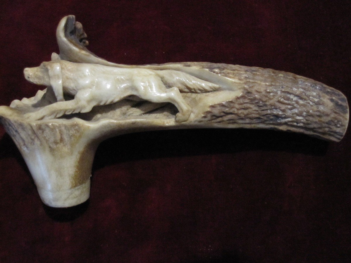 Beautifully Carved Stag Antler Cane Handle. With A Stalking Dog Scene-photo-4