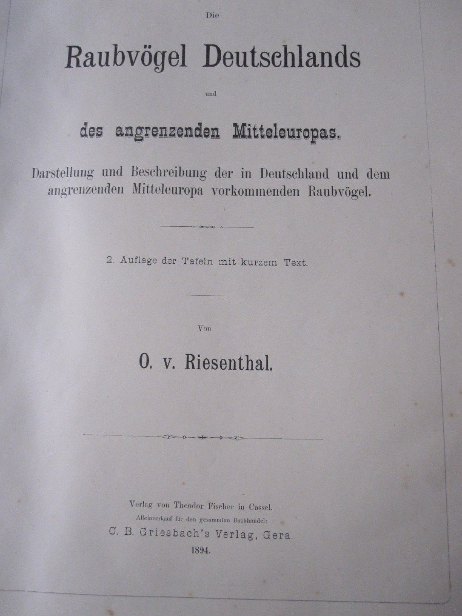 Riesenthal : Oiseaux De Proie d'Europe. 1894. Grand Livre Avec 60 Belles Chromolithographies-photo-3