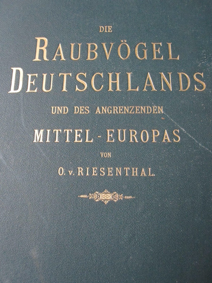 Riesenthal : Oiseaux De Proie d'Europe. 1894. Grand Livre Avec 60 Belles Chromolithographies-photo-2