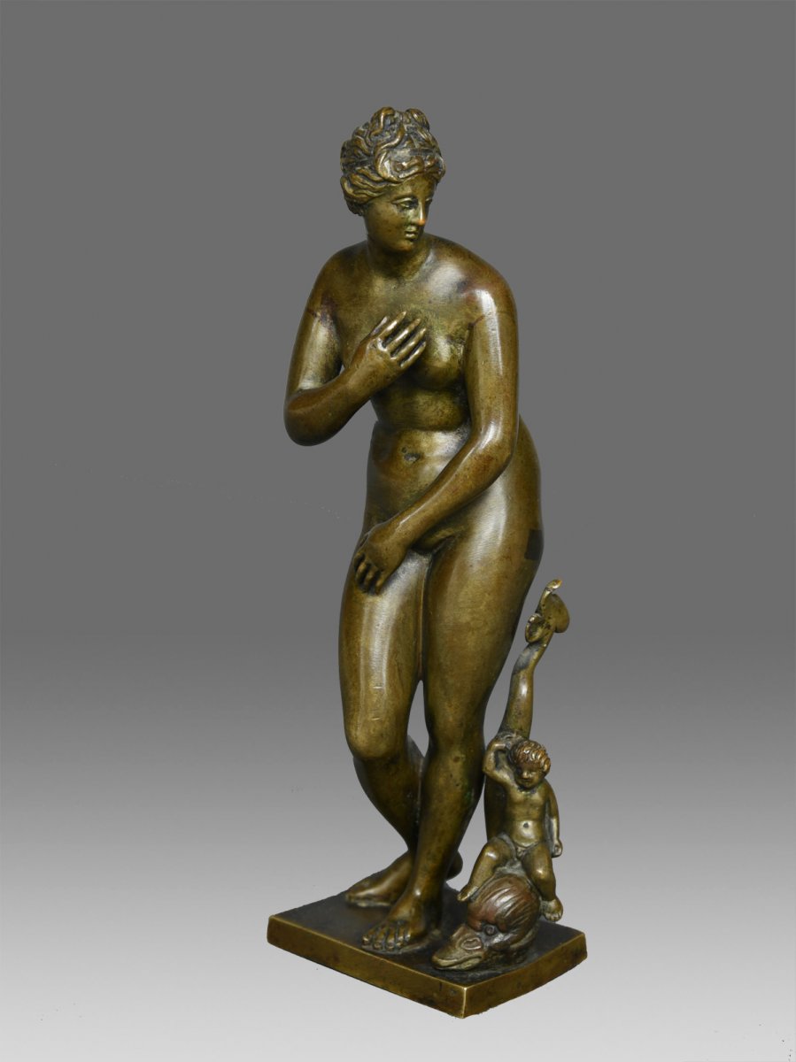 Renaissance Bronce Venus Pudica 17th Century-photo-4