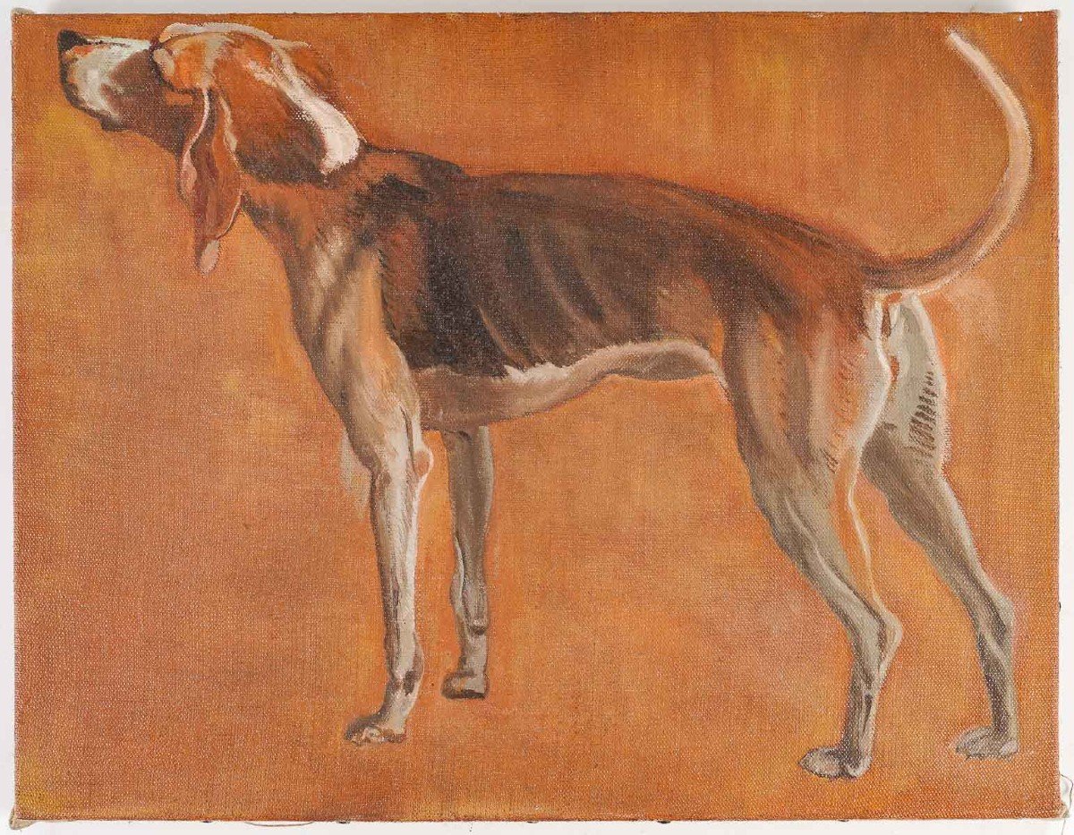 Two Paintings, Dog Portrait, XXth Century.-photo-3