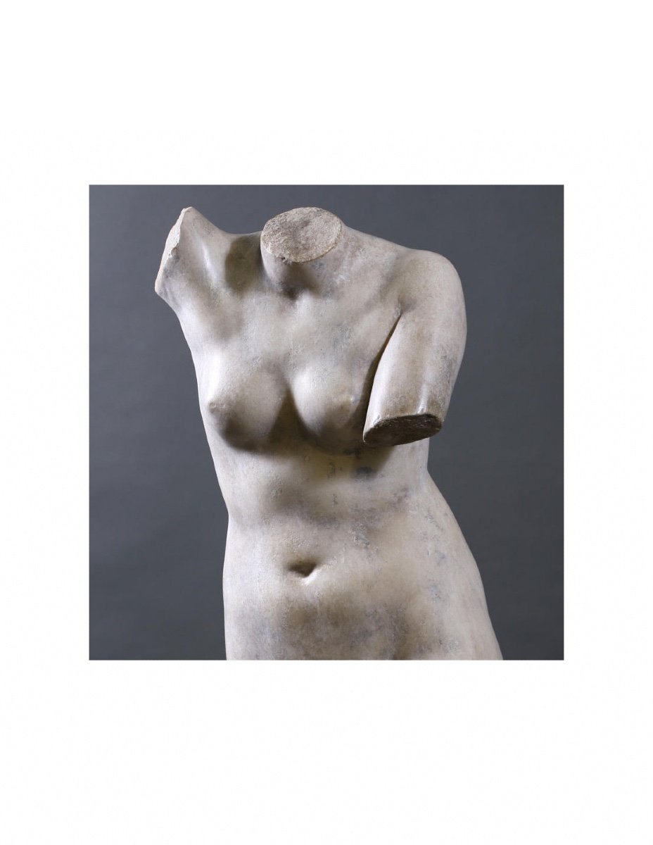Beautiful Bust Of Venus, The Goddess Of Love, 20th Century.-photo-2