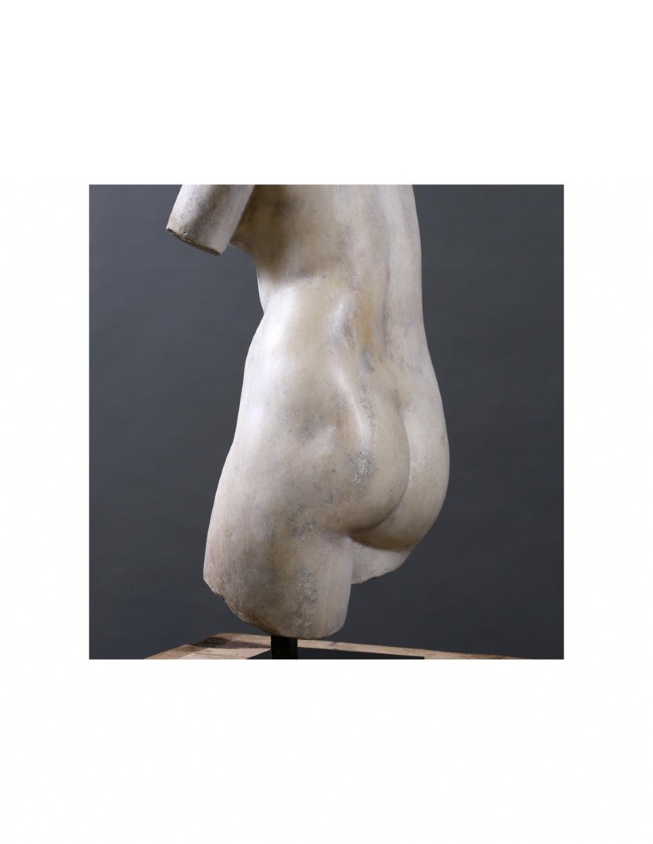Beautiful Bust Of Venus, The Goddess Of Love, 20th Century.-photo-3