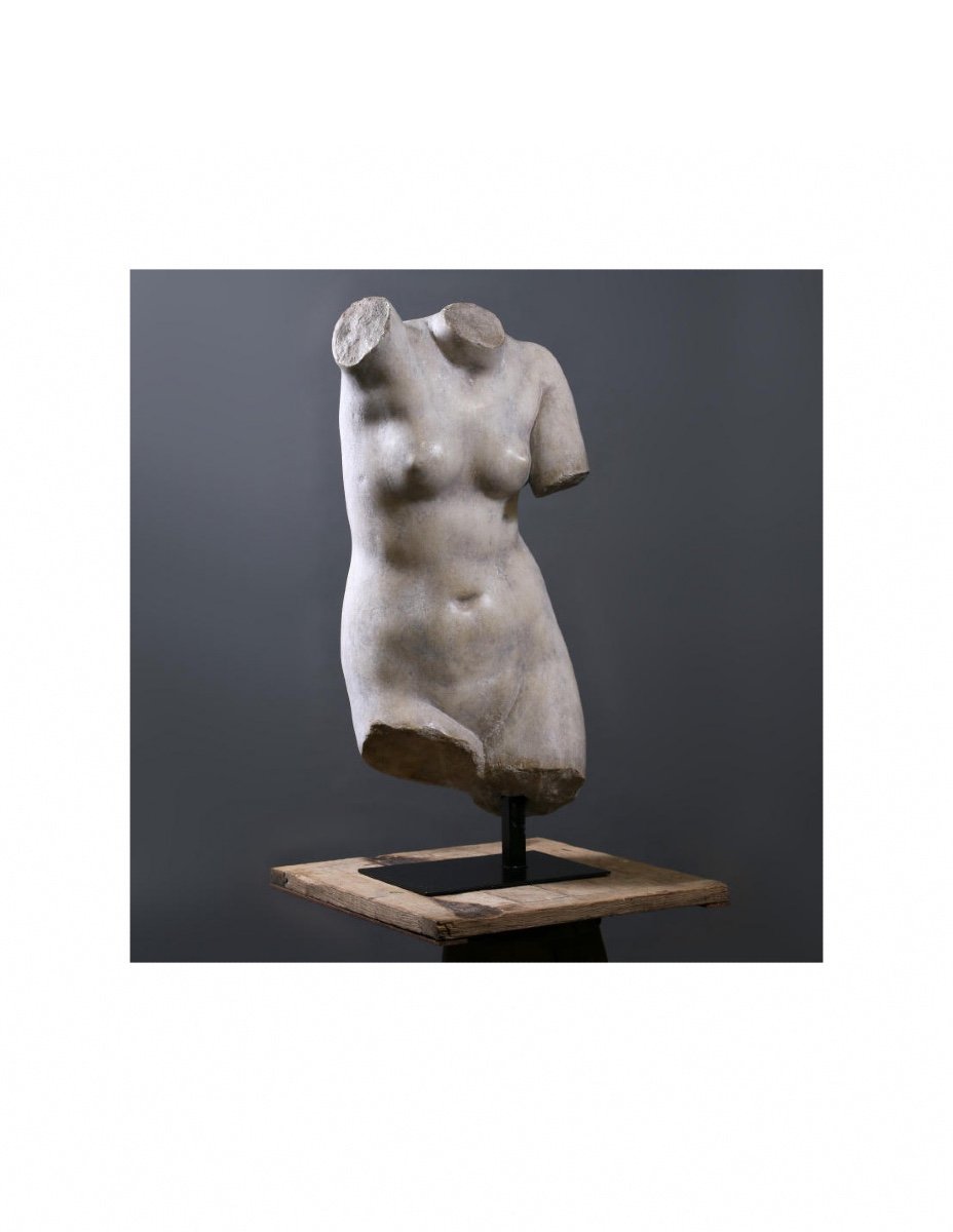 Beautiful Bust Of Venus, The Goddess Of Love, 20th Century.-photo-1