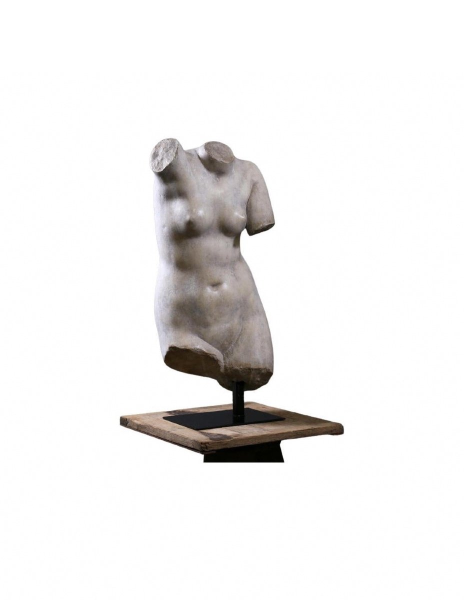 Beautiful Bust Of Venus, The Goddess Of Love, 20th Century.