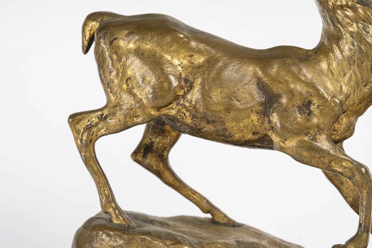 Gilt Bronze Sculpture, Deer In The Wild By Aignon, Sculptor, 19th Century, Napoleon III-photo-3
