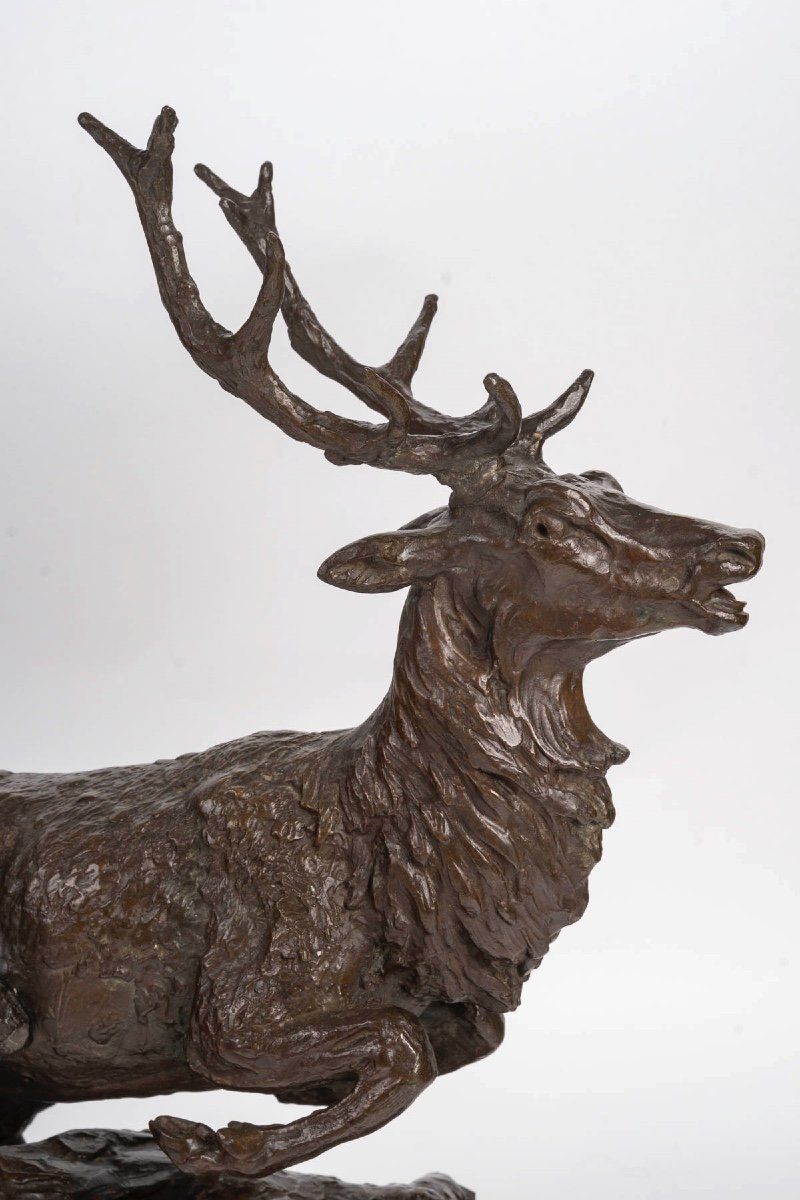Patinated Bronze Sculpture, Deer And Hunting Dog, 19th Century.-photo-3