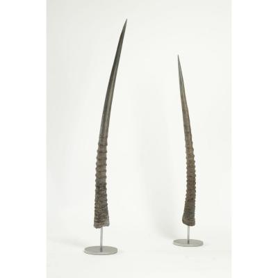Pair Of Oryx Horns Mounted On Steel Base.
