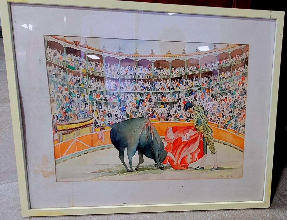 Bullfighting