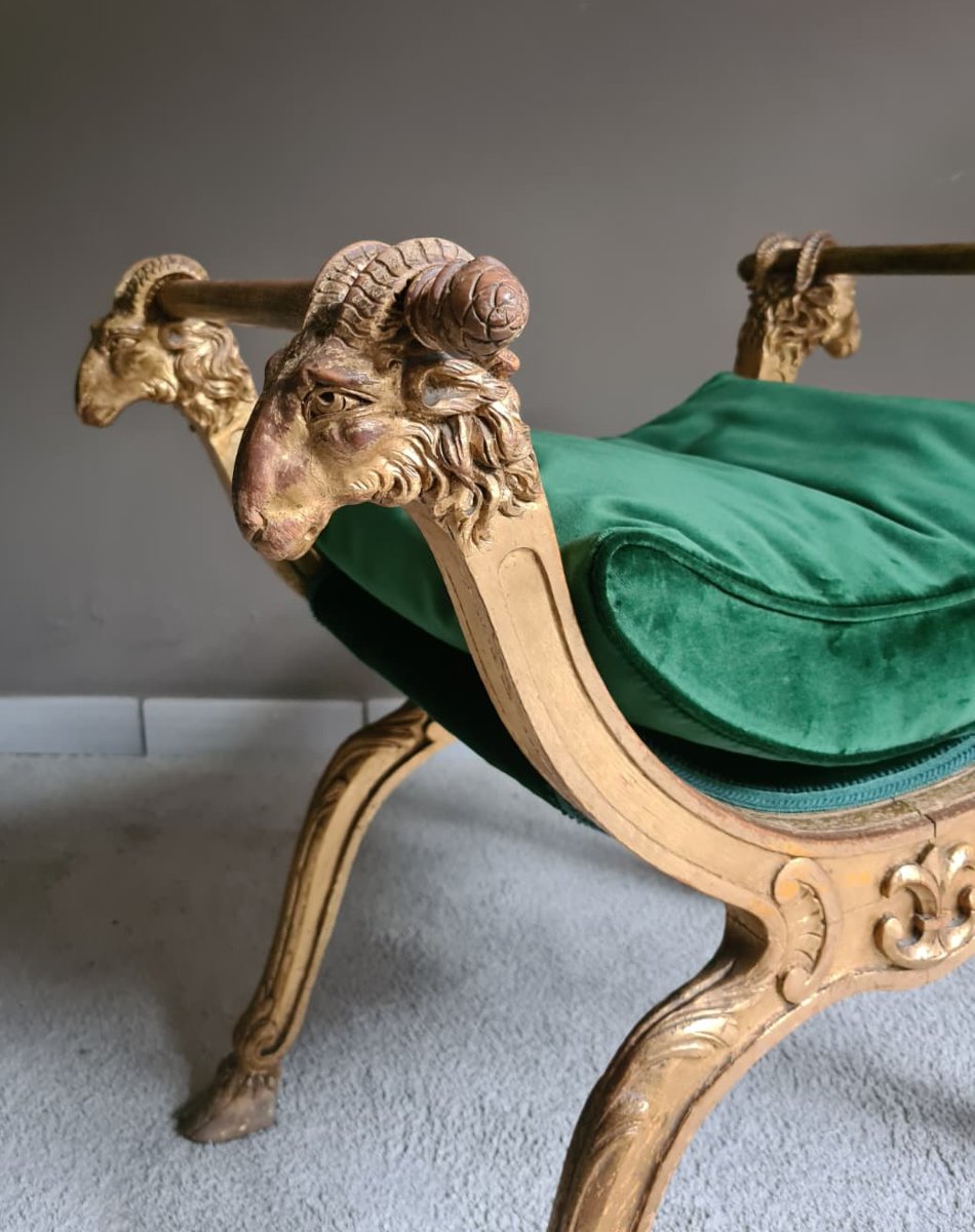 Central Carved-photo-1