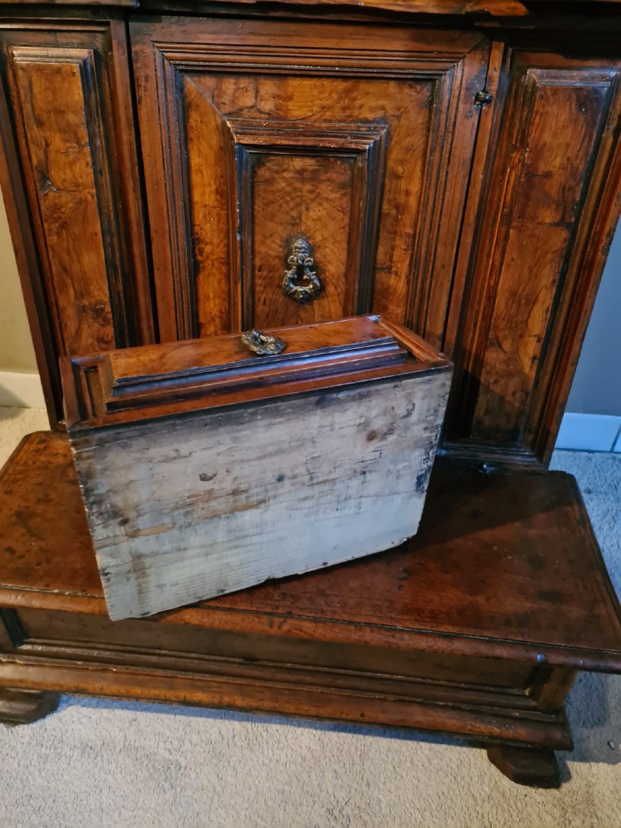 Walnut Kneeler, Lombardy-photo-4