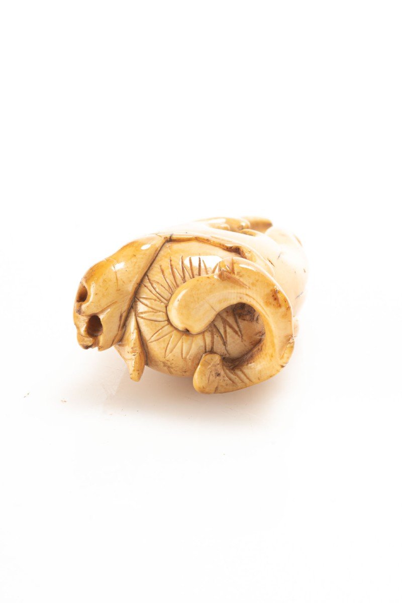 Netsuke En Ivoire Représentant Le Cèdre De La Main De Bouddha-photo-4