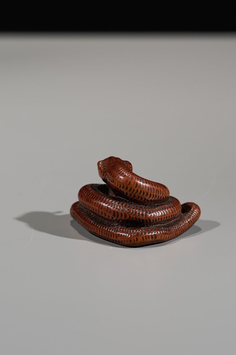 Netsuke En Buis Figurant Un Serpent Enroulé-photo-3
