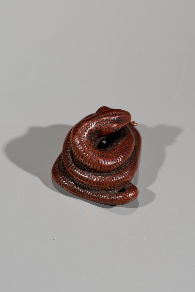 Netsuke En Buis Figurant Un Serpent Enroulé-photo-4