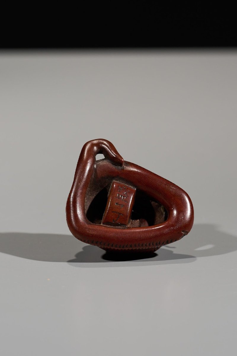 Netsuke En Buis Figurant Un Serpent Enroulé-photo-1