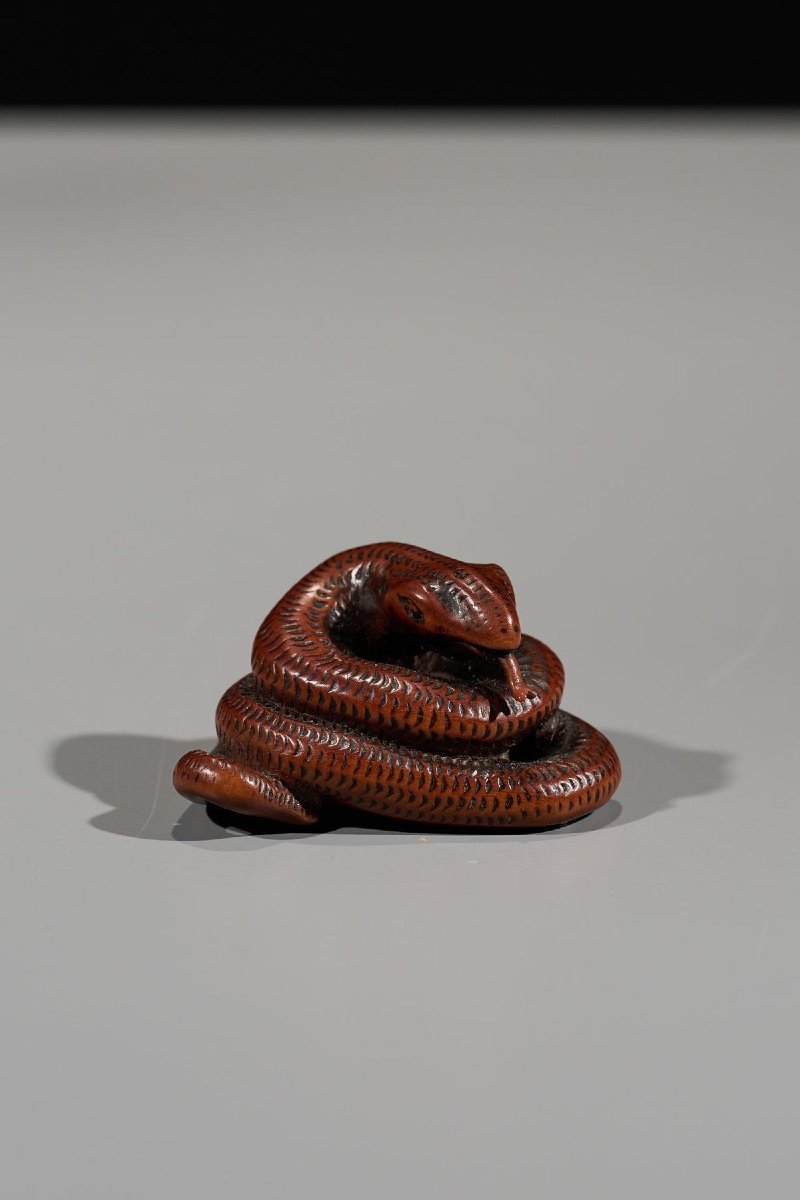 Netsuke En Buis Figurant Un Serpent Enroulé