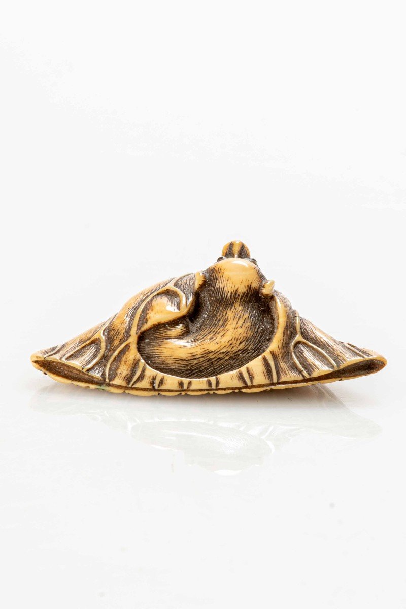 An Ivory Netsuke Depicting A Puppy On A Lotus Flower-photo-4