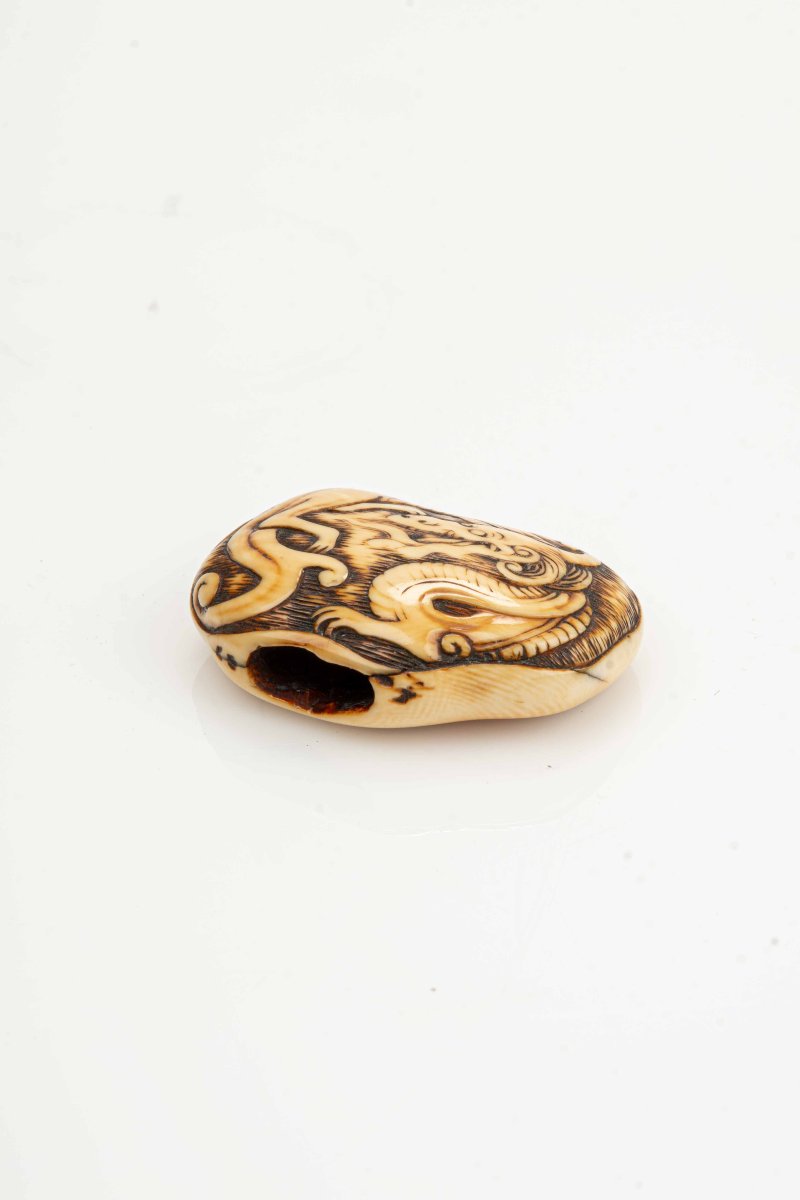 Netsuke manju japonais en ivoire représentant un dragon enroulé -photo-3