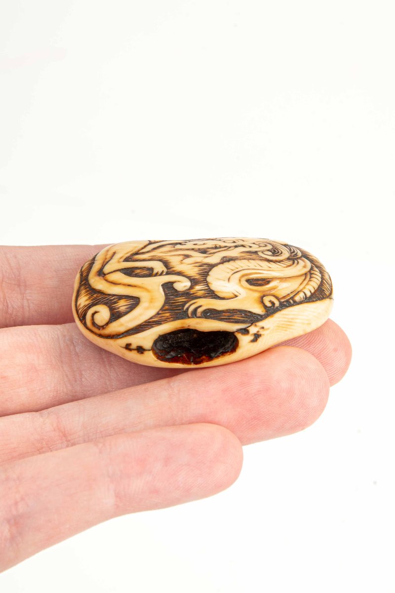 Netsuke manju japonais en ivoire représentant un dragon enroulé -photo-1
