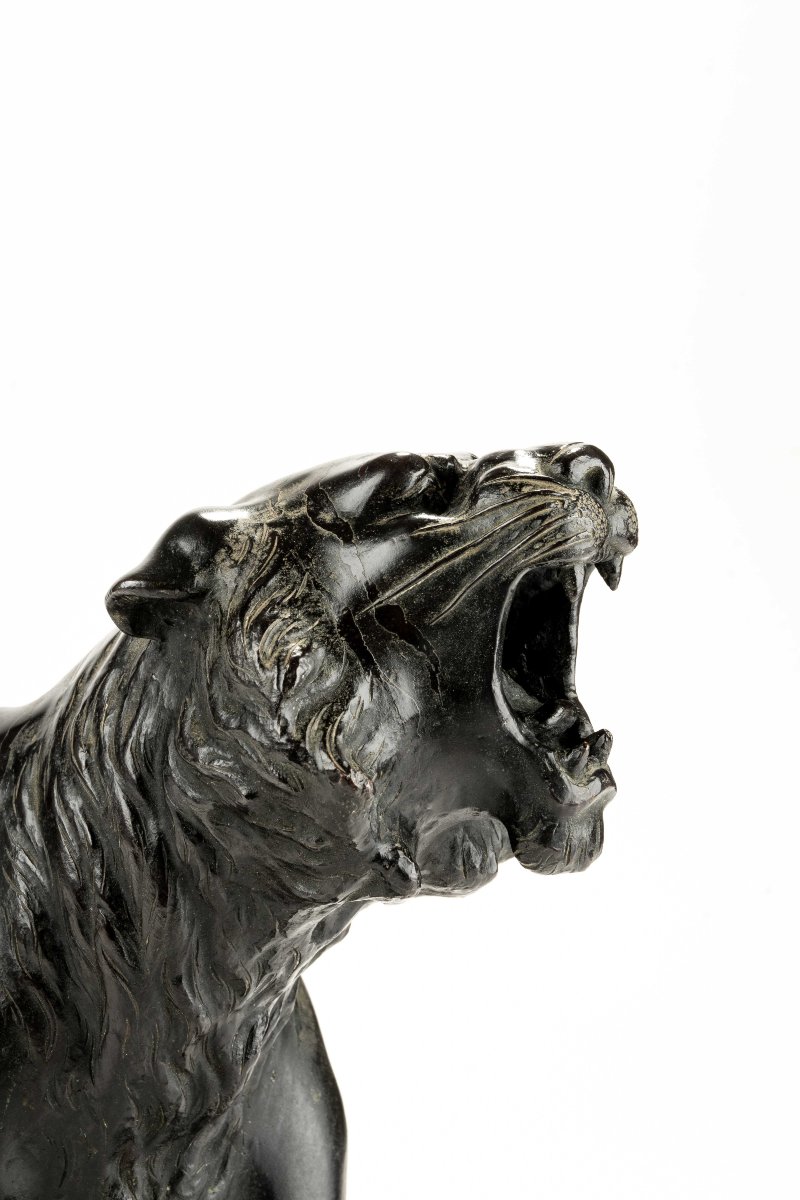 A Patinated Bronze Okimono Of A Roaring Tiger, Signed Maruki Company And Atsuyoshi-photo-2