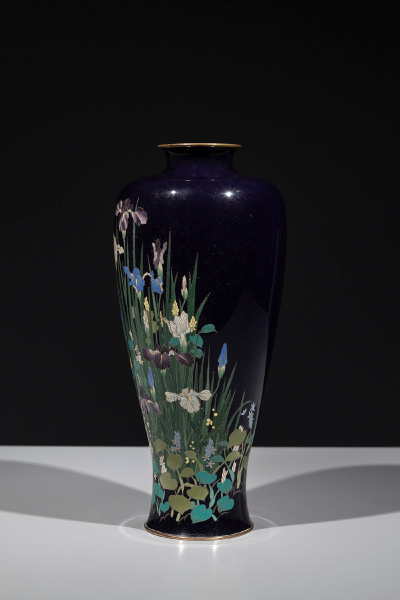 A Cloisonné Vase With A Composition Of Irises And Aquatic Plants-photo-2