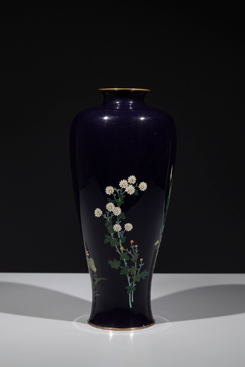 A Cloisonné Vase With A Composition Of Irises And Aquatic Plants-photo-3