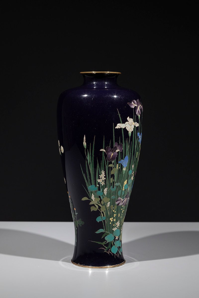 A Cloisonné Vase With A Composition Of Irises And Aquatic Plants-photo-4