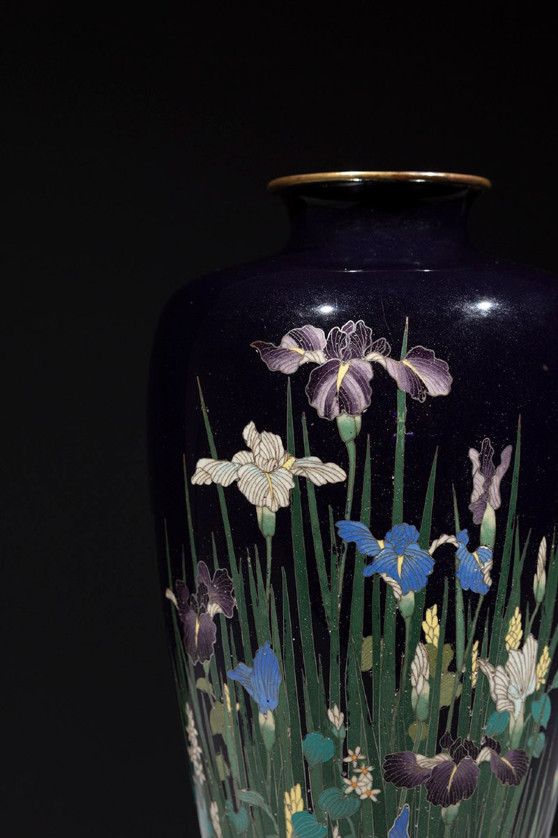A Cloisonné Vase With A Composition Of Irises And Aquatic Plants-photo-1