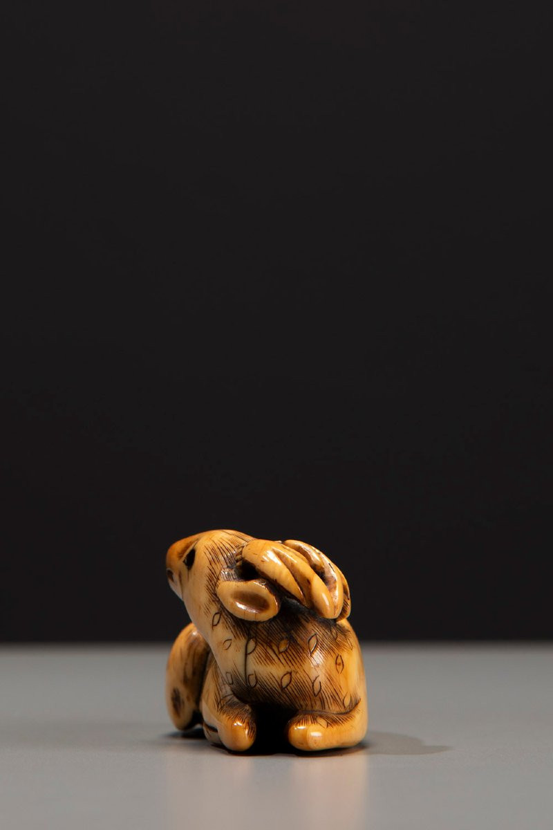 An Ivory Netsuke Depicting A Crouching Deer-photo-2