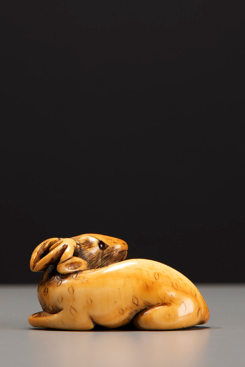 An Ivory Netsuke Depicting A Crouching Deer-photo-3
