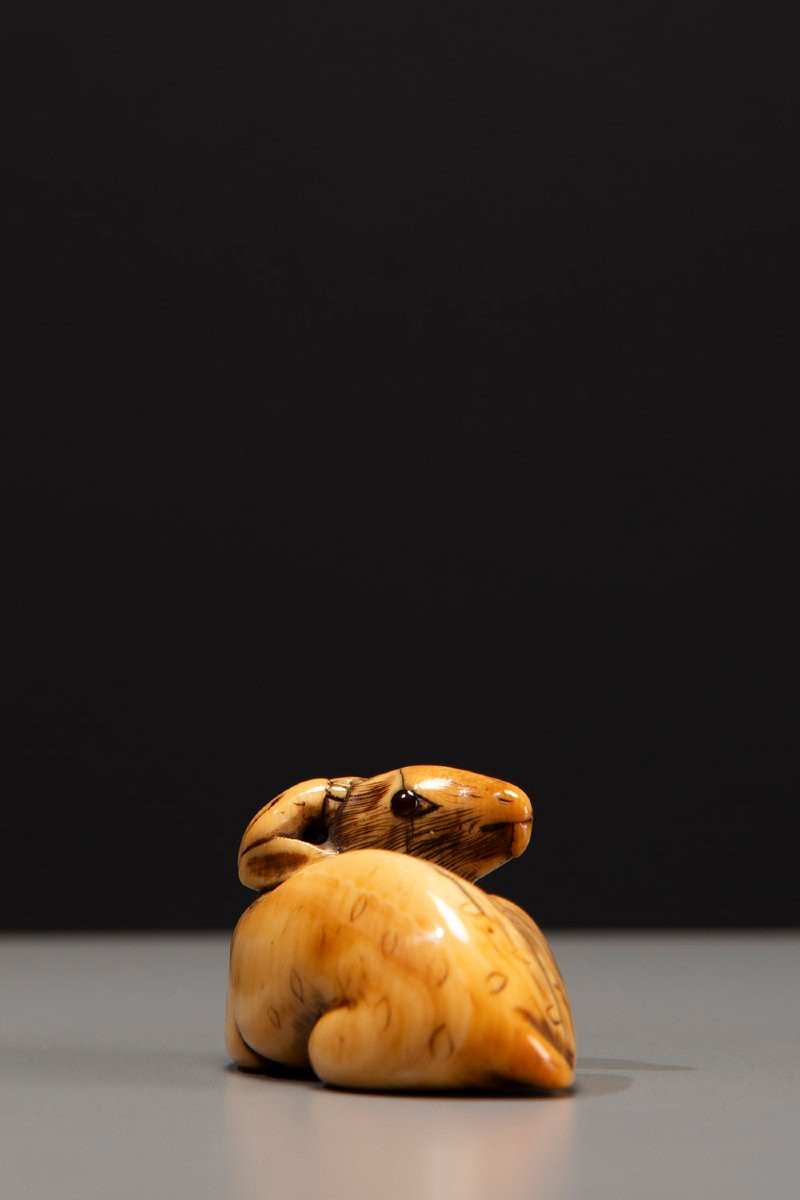 An Ivory Netsuke Depicting A Crouching Deer-photo-4