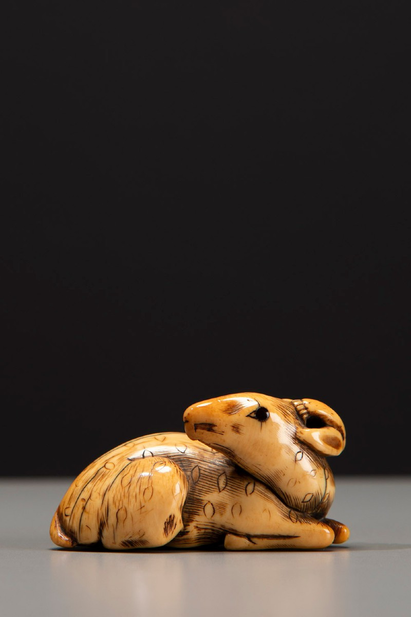 An Ivory Netsuke Depicting A Crouching Deer