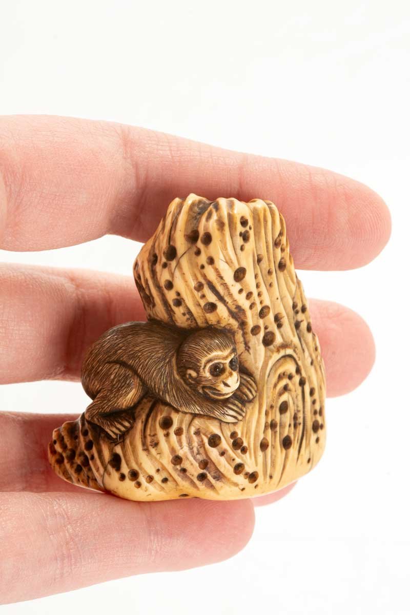 Netsuke en ivoire représentant un singe accroupi sur un rocher-photo-4