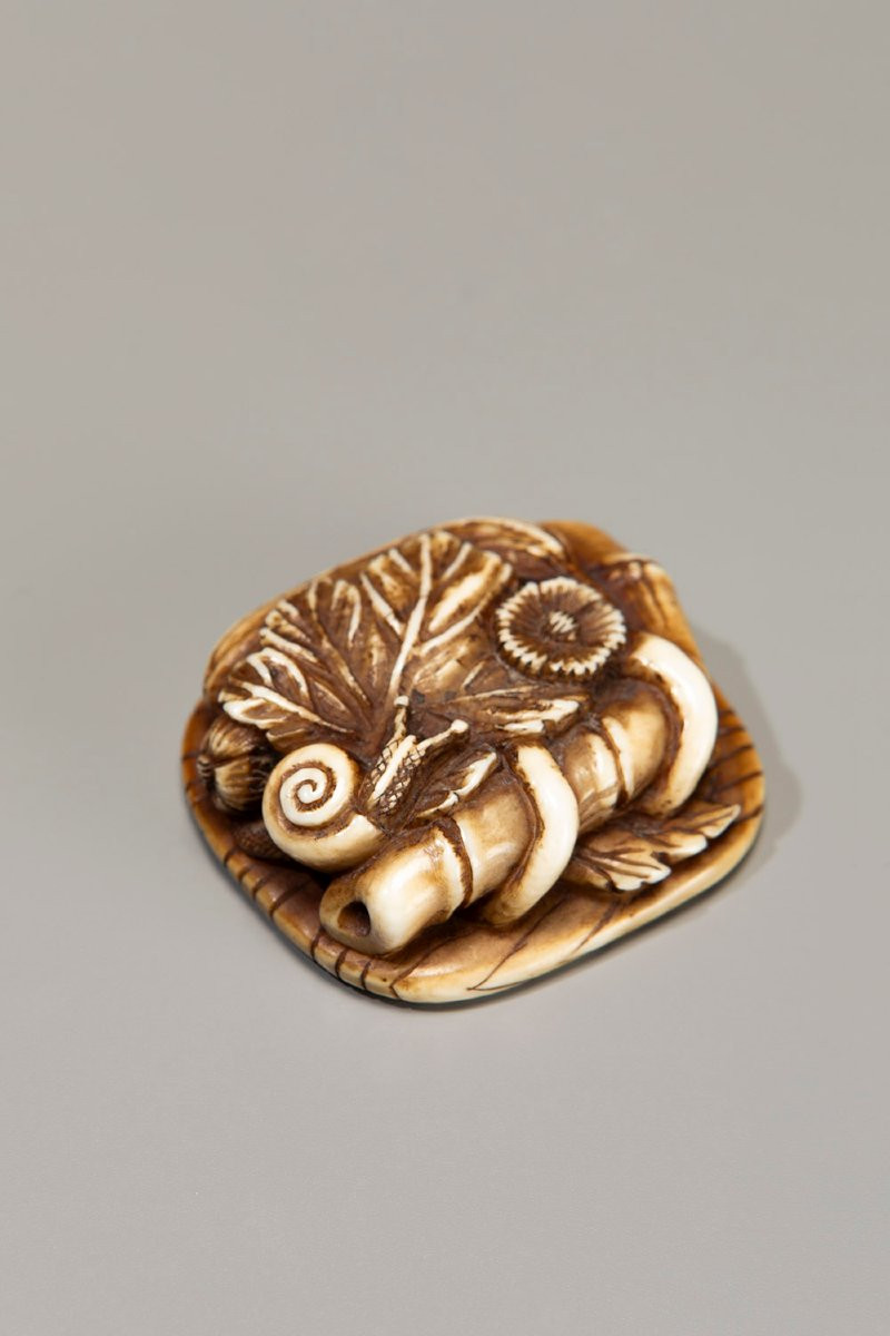 An Ivory Netsuke Depicting A Snail On A Group Of Leaves-photo-2
