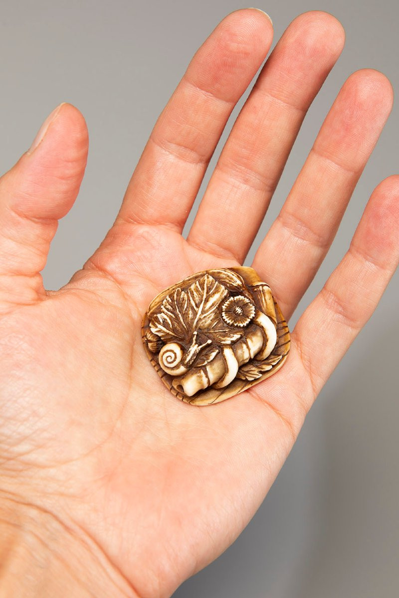 An Ivory Netsuke Depicting A Snail On A Group Of Leaves-photo-3