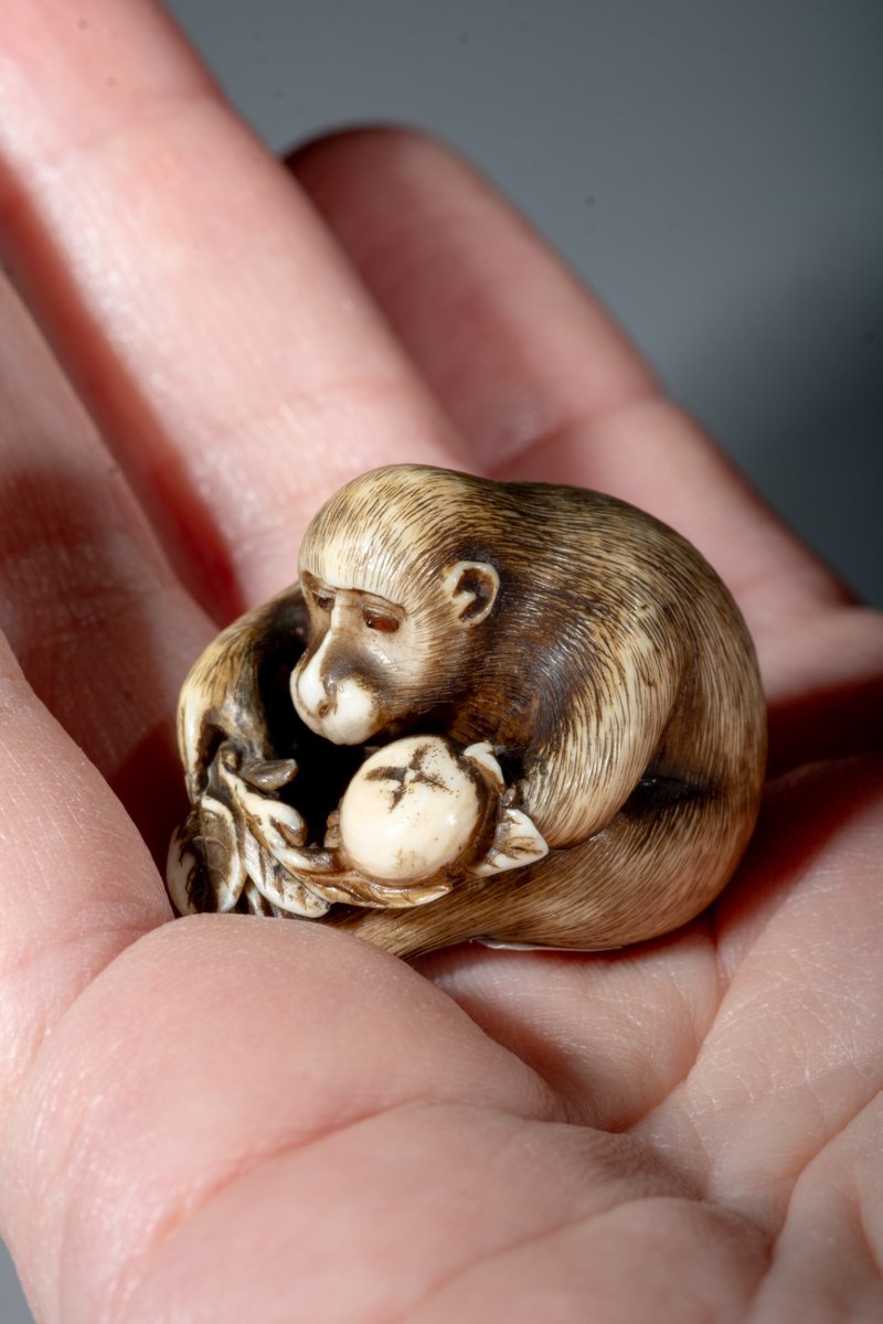A Japanese Ivory Netsuke Of A Monkey With Fruit-photo-2