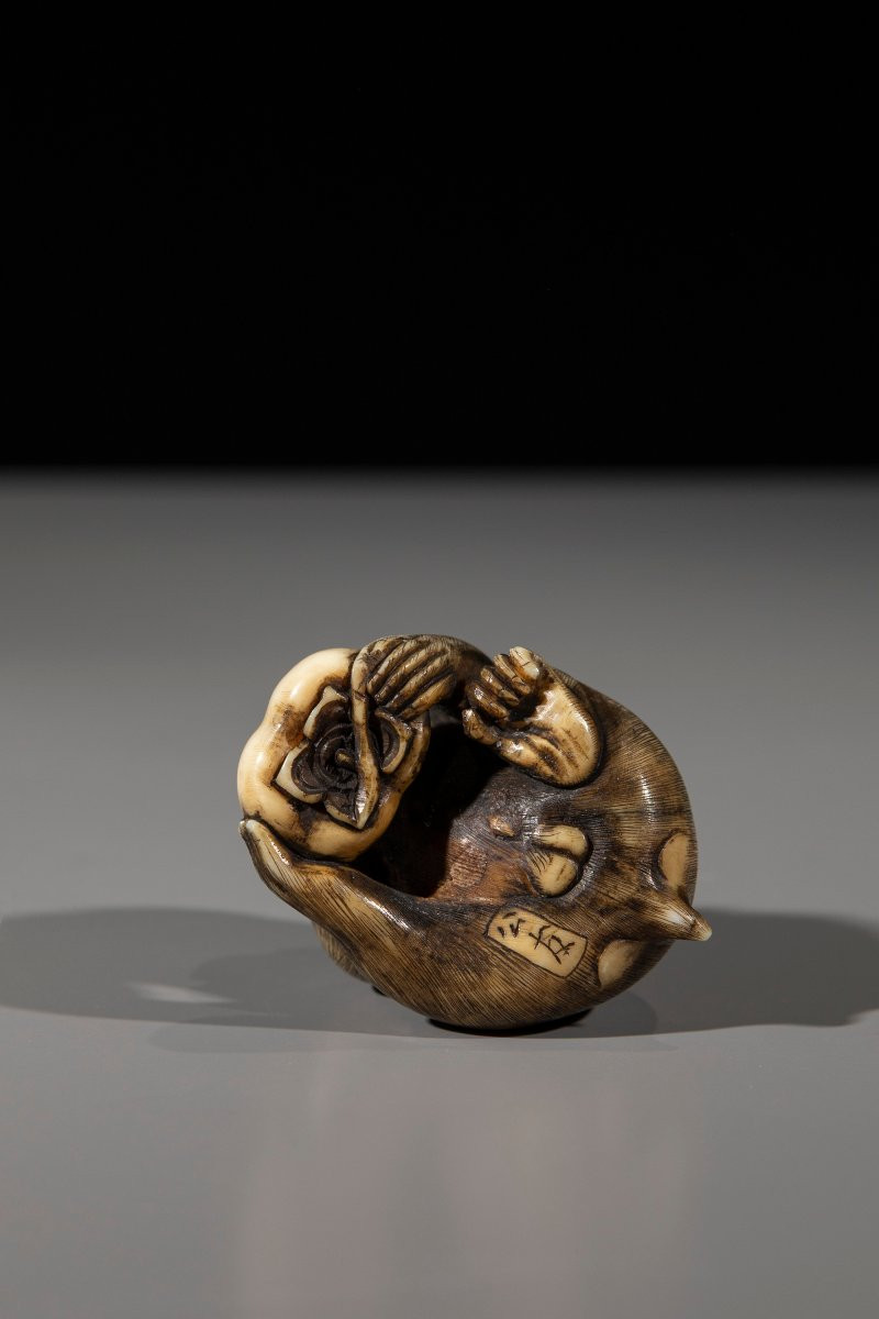 An Ivory Netsuke Depicting A Monkey With Fruit-photo-4