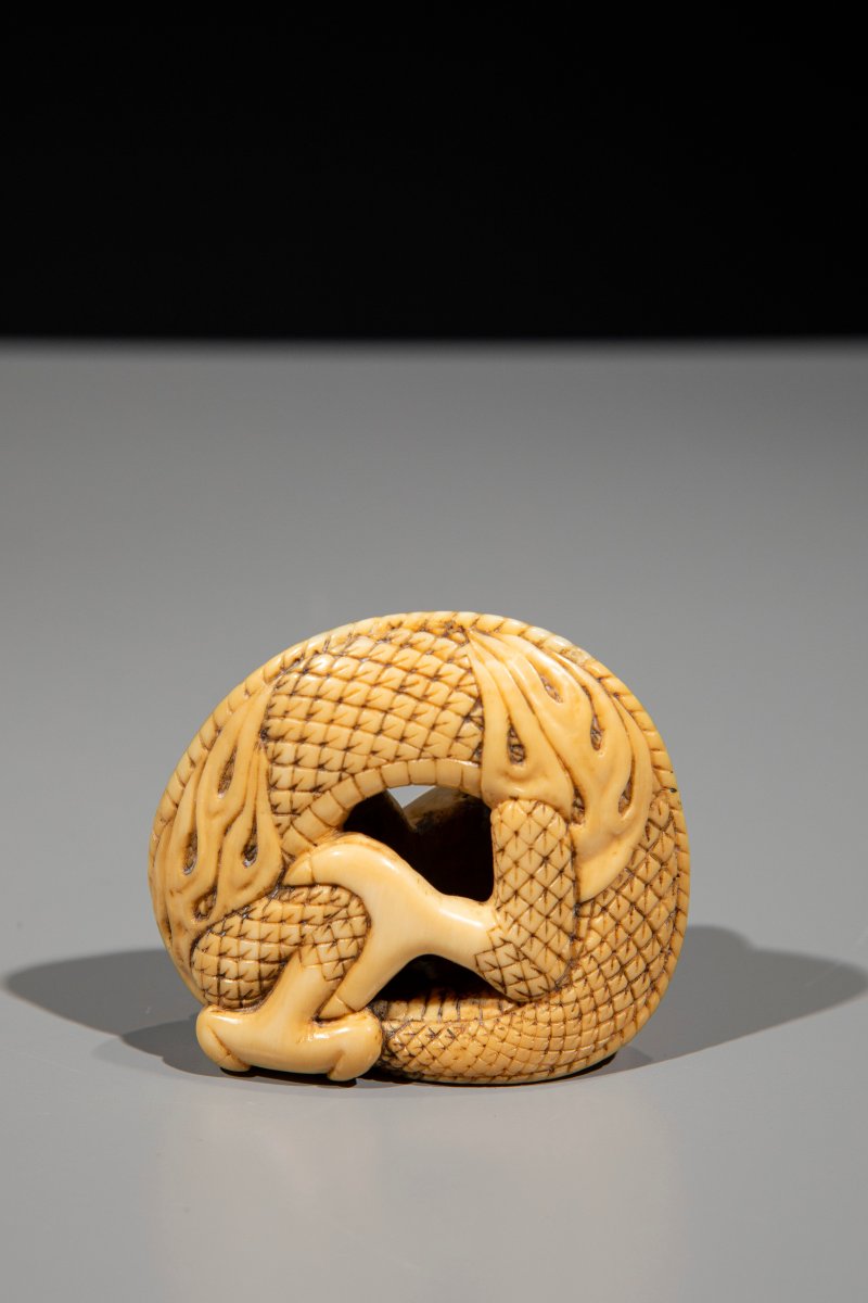 Netsuke en ivoire représentant un dragon enroulé sur lui-même-photo-2