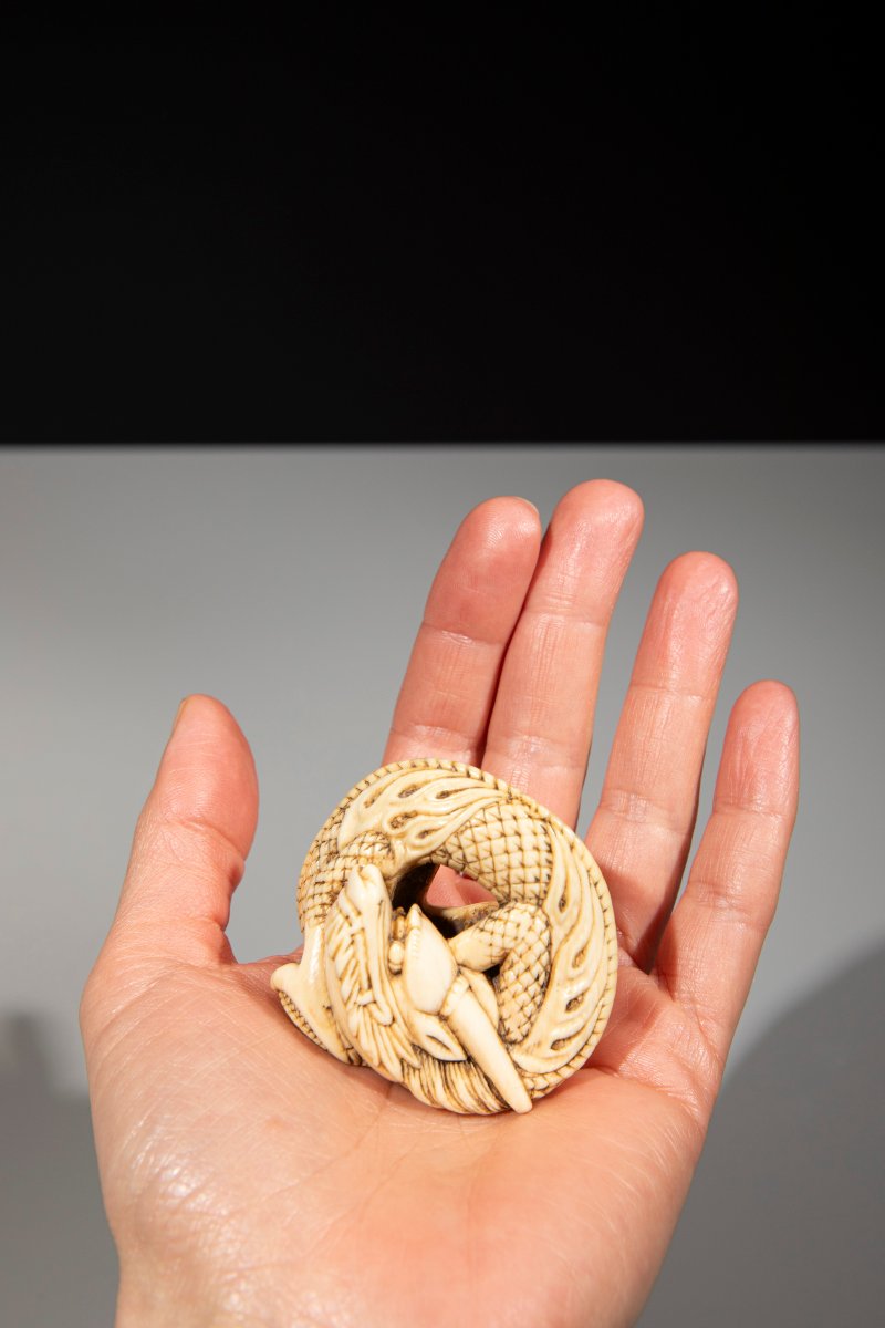 Netsuke en ivoire représentant un dragon enroulé sur lui-même-photo-3