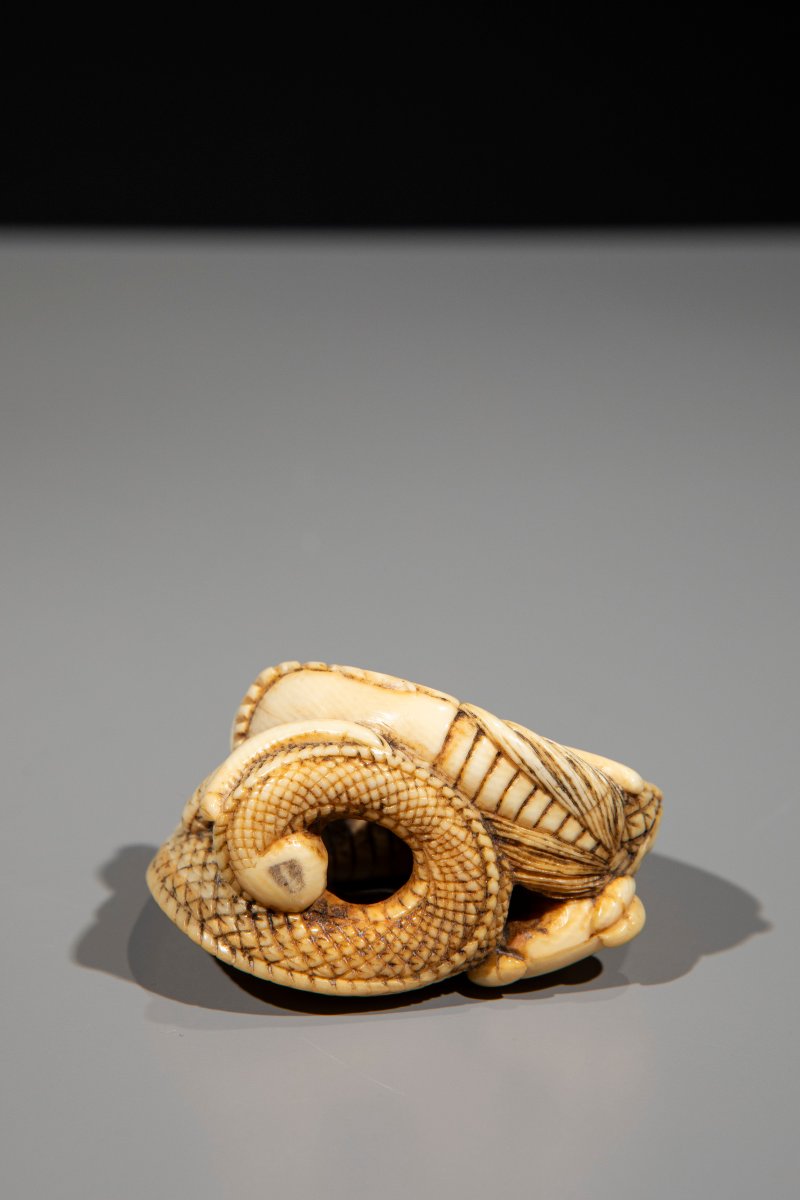 Netsuke en ivoire représentant un dragon enroulé sur lui-même-photo-4