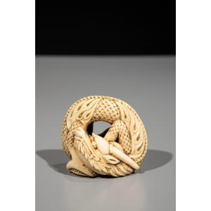 An Ivory Netsuke Depicting A Coiled Dragon