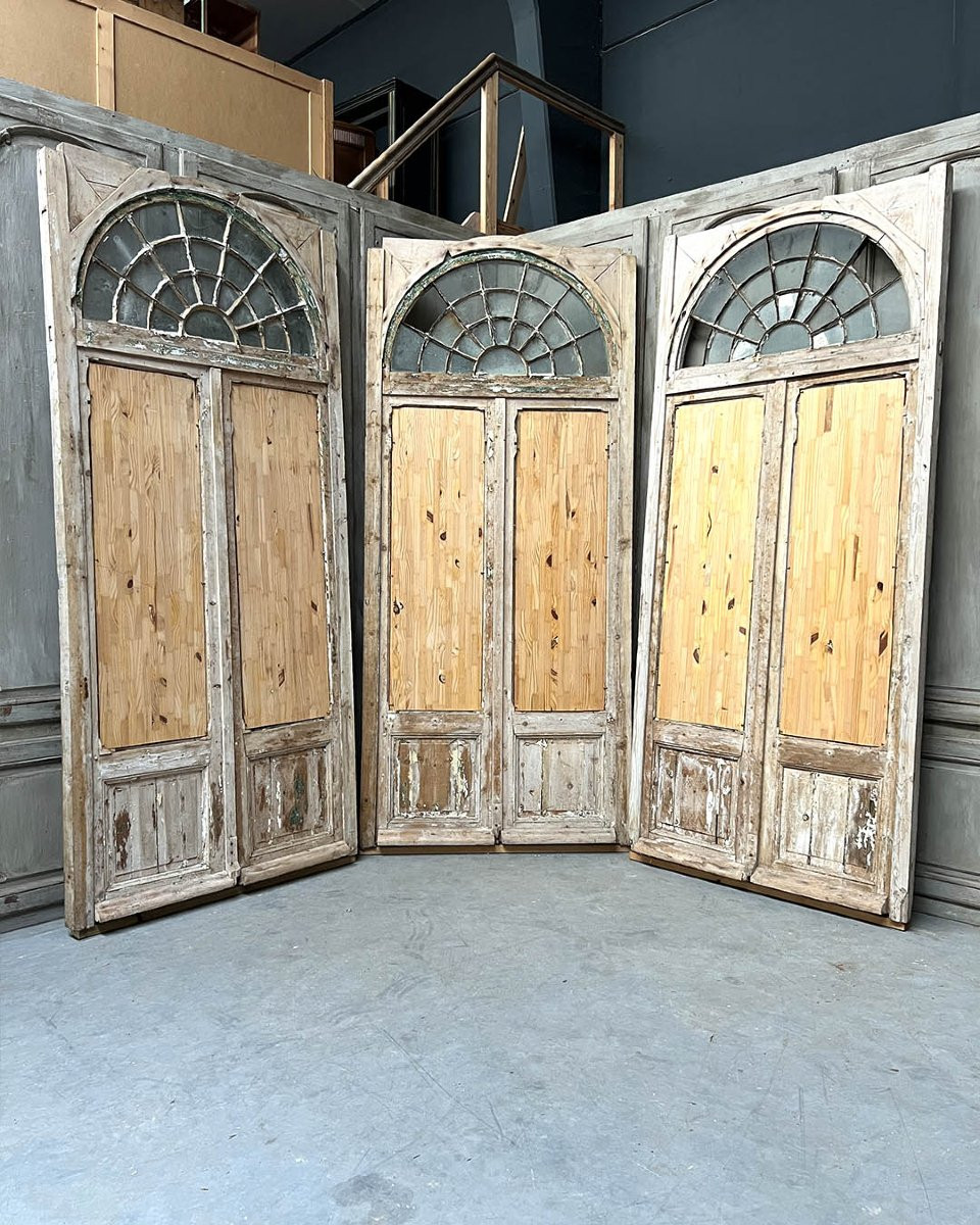 Ensemble de doubles portes d’orangerie avec bâti-photo-4