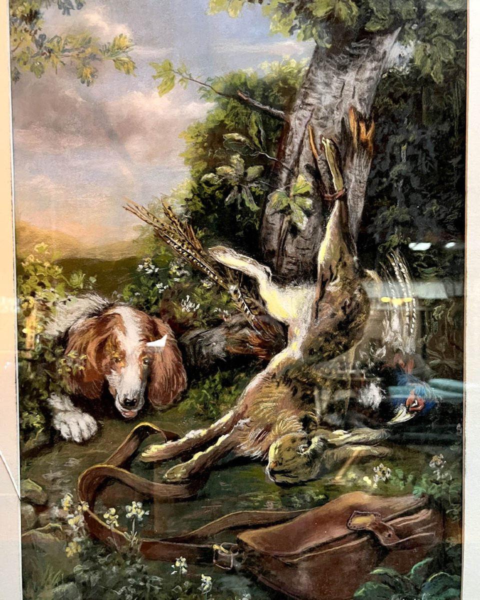 Lot Of Hunting Trophies-photo-6